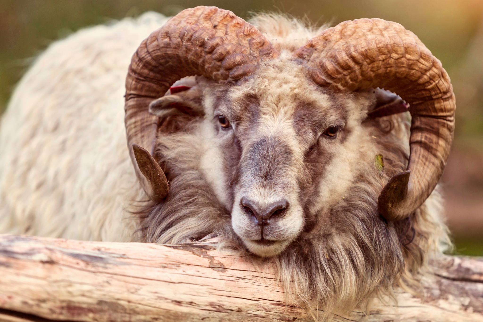 Artikkelbilde til artikkelen Velkommen