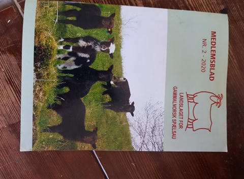 Artikkelbilde til artikkelen Medlemskap